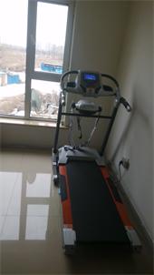 風(fēng)凰新款實木弓型跑板跑步機