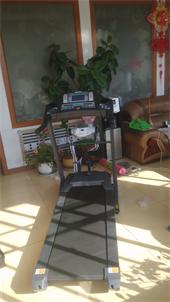 鳳凰跑步機暢銷款（祥利體育）